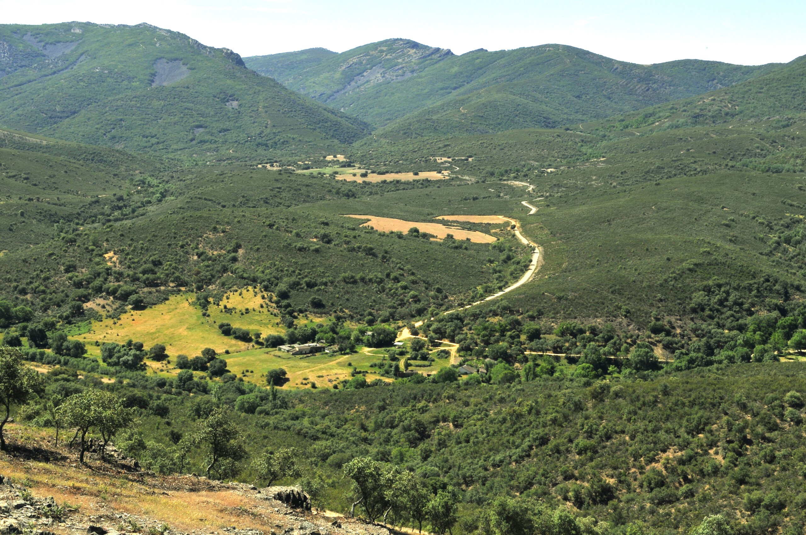 Parque Nacional de Cabañeros: Guía Completa 2026