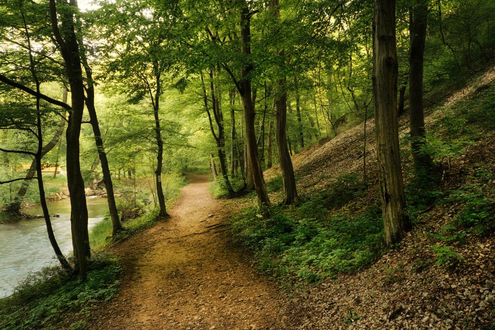 sendero verde y rio de ribera fresco en una ruta de naturaleza toledo durante el verano
