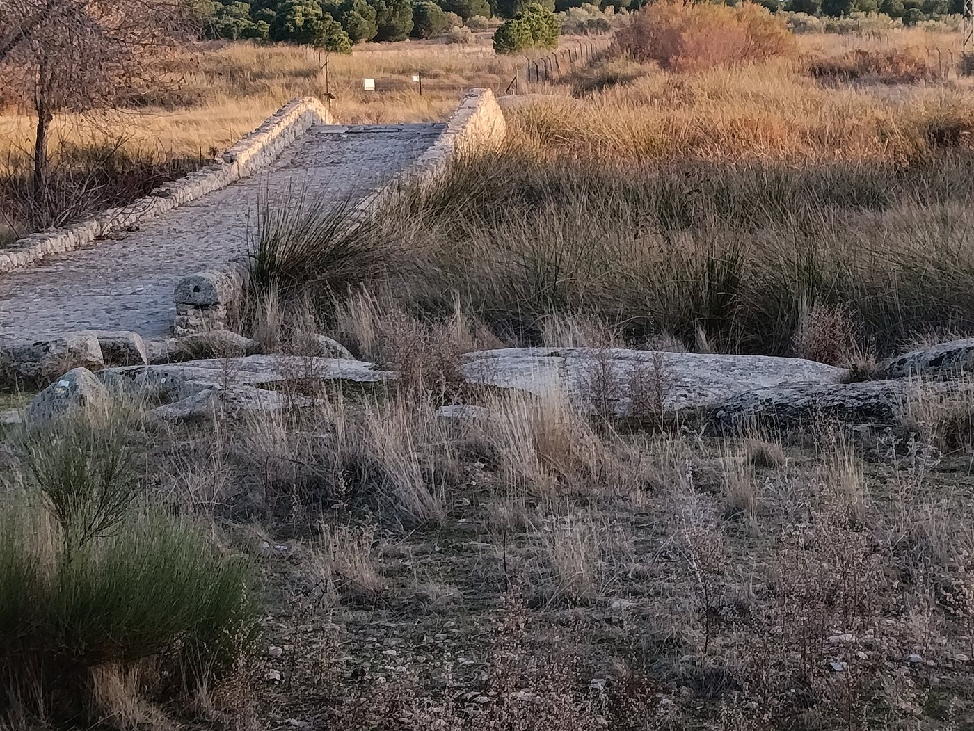 Ojo del puente romano de Villaverde (Orgaz)